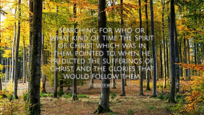 Picture 05 - 1 Peter 1:11 WEB Desktop Wallpaper - searching for who or what kind of time the Spirit - Desktop Bible Verse Wallpaper