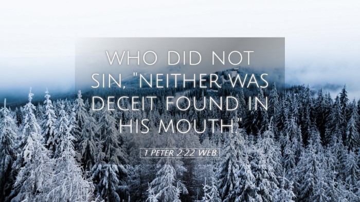 Picture 05 - 1 Peter 2:22 WEB Desktop Wallpaper - who did not sin, 