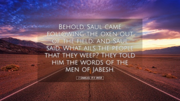 Picture 05 - 1 Samuel 11:5 WEB Desktop Wallpaper - Behold, Saul came following the oxen out of the - Desktop Bible Verse Wallpaper