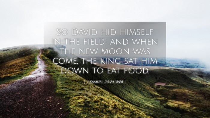 Picture 05 - 1 Samuel 20:24 WEB Desktop Wallpaper - So David hid himself in the field: and when the - Desktop Bible Verse Wallpaper