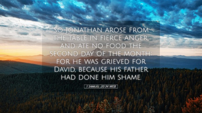 Picture 05 - 1 Samuel 20:34 WEB Desktop Wallpaper - So Jonathan arose from the table in fierce anger, - Desktop Bible Verse Wallpaper