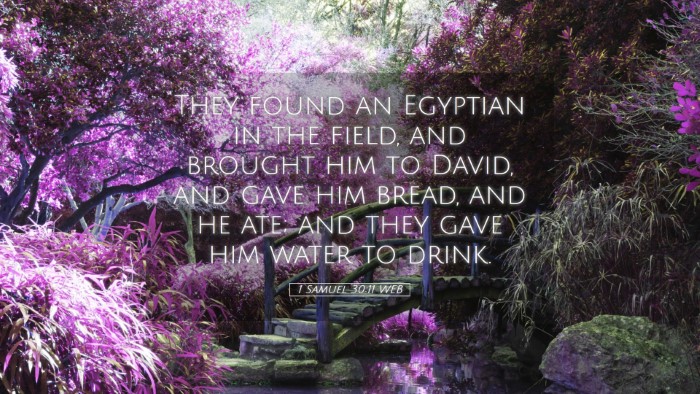 Picture 05 - 1 Samuel 30:11 WEB Desktop Wallpaper - They found an Egyptian in the field, and brought - Desktop Bible Verse Wallpaper