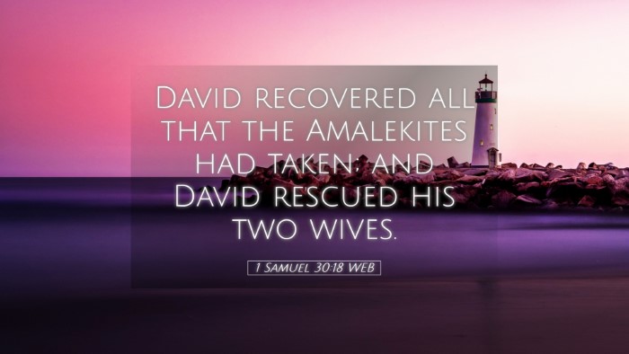 Picture 05 - 1 Samuel 30:18 WEB Desktop Wallpaper - David recovered all that the Amalekites had - Desktop Bible Verse Wallpaper