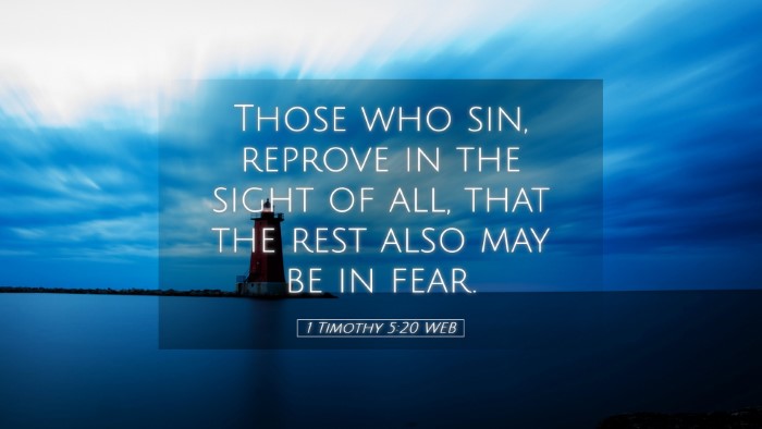 Picture 05 - 1 Timothy 5:20 WEB Desktop Wallpaper - Those who sin, reprove in the sight of all, that - Desktop Bible Verse Wallpaper