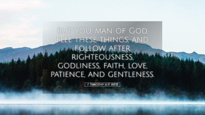 Picture 05 - 1 Timothy 6:11 WEB Desktop Wallpaper - But you, man of God, flee these things, and - Desktop Bible Verse Wallpaper