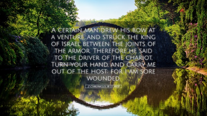 Picture 05 - 2 Chronicles 18:33 WEB Desktop Wallpaper - A certain man drew his bow at a venture, and - Desktop Bible Verse Wallpaper