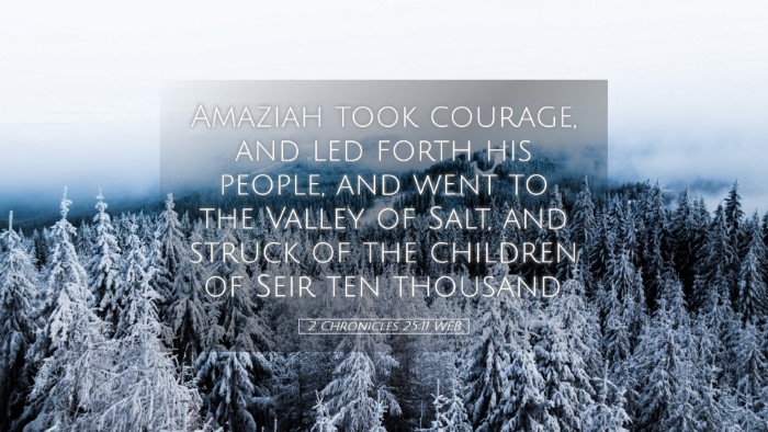 Picture 05 - 2 Chronicles 25:11 WEB Desktop Wallpaper - Amaziah took courage, and led forth his people, - Desktop Bible Verse Wallpaper