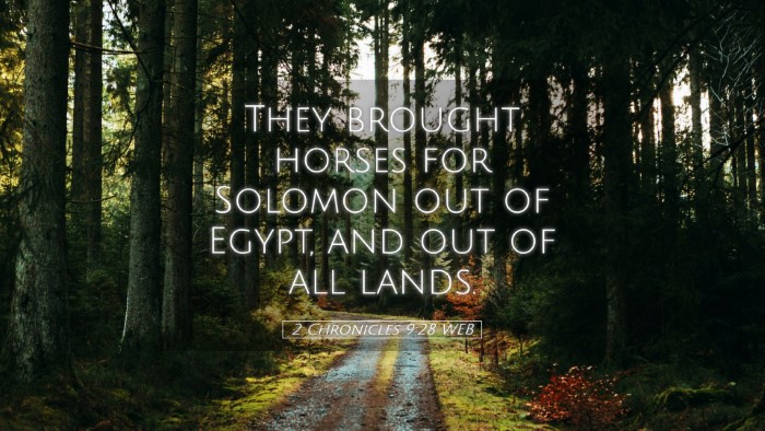 Picture 05 - 2 Chronicles 9:28 WEB Desktop Wallpaper - They brought horses for Solomon out of Egypt, and - Desktop Bible Verse Wallpaper