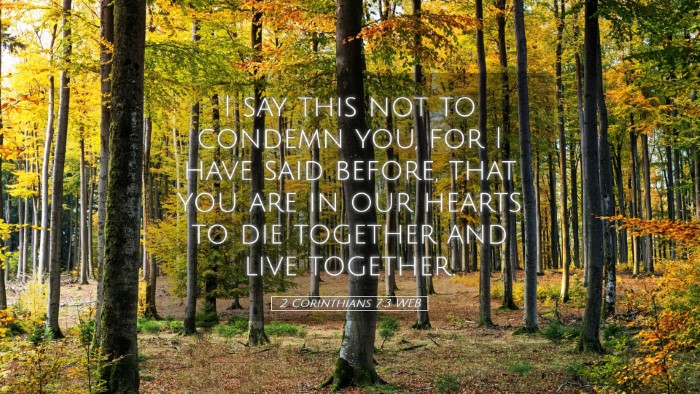 Picture 05 - 2 Corinthians 7:3 WEB Desktop Wallpaper - I say this not to condemn you, for I have said - Desktop Bible Verse Wallpaper
