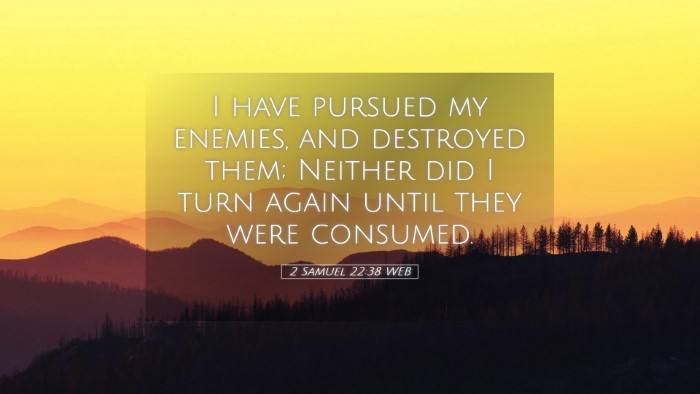 Picture 05 - 2 Samuel 22:38 WEB Desktop Wallpaper - I have pursued my enemies, and destroyed them; - Desktop Bible Verse Wallpaper