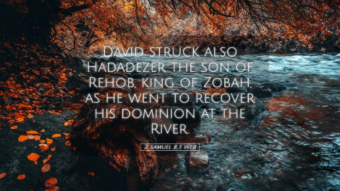 Picture 05 - 2 Samuel 8:3 WEB Desktop Wallpaper - David struck also Hadadezer the son of Rehob, - Desktop Bible Verse Wallpaper