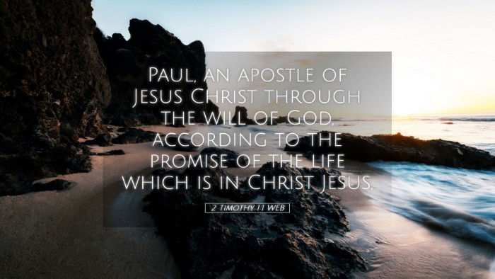 Picture 05 - 2 Timothy 1:1 WEB Desktop Wallpaper - Paul, an apostle of Jesus Christ through the will - Desktop Bible Verse Wallpaper