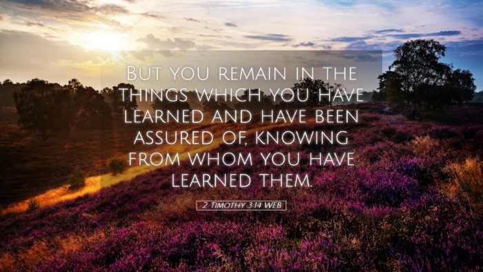 Picture 05 - 2 Timothy 3:14 WEB Desktop Wallpaper - But you remain in the things which you have - Desktop Bible Verse Wallpaper
