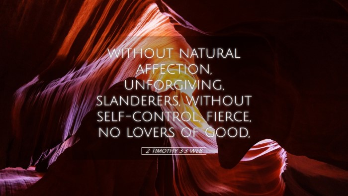 Picture 05 - 2 Timothy 3:3 WEB Desktop Wallpaper - without natural affection, unforgiving, - Desktop Bible Verse Wallpaper