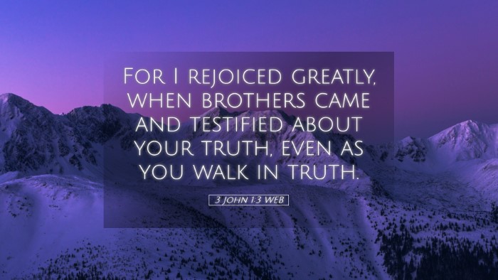 Picture 05 - 3 John 1:3 WEB Desktop Wallpaper - For I rejoiced greatly, when brothers came and - Desktop Bible Verse Wallpaper