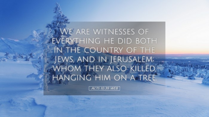 Picture 05 - Acts 10:39 WEB Desktop Wallpaper - We are witnesses of everything he did both in the - Desktop Bible Verse Wallpaper