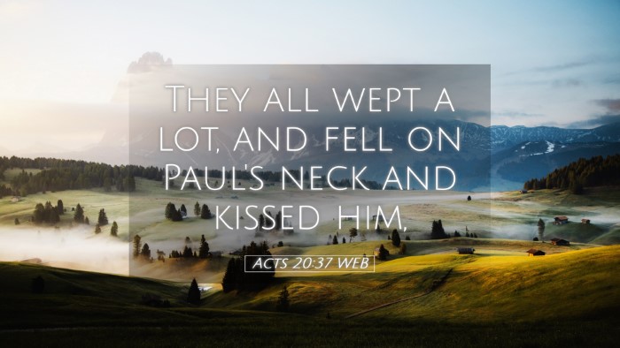 Picture 05 - Acts 20:37 WEB Desktop Wallpaper - They all wept a lot, and fell on Paul's neck and - Desktop Bible Verse Wallpaper