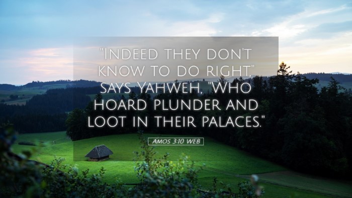 Picture 05 - Amos 3:10 WEB Desktop Wallpaper - 