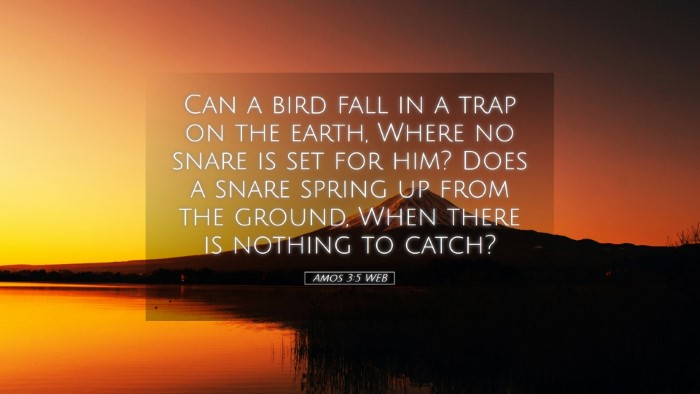 Picture 05 - Amos 3:5 WEB Desktop Wallpaper - Can a bird fall in a trap on the earth, Where no - Desktop Bible Verse Wallpaper