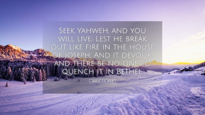 Picture 05 - Amos 5:6 WEB Desktop Wallpaper - Seek Yahweh, and you will live; Lest he break out - Desktop Bible Verse Wallpaper