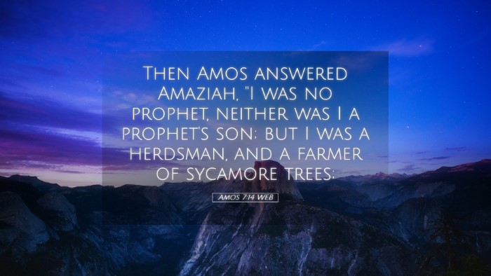Picture 05 - Amos 7:14 WEB Desktop Wallpaper - Then Amos answered Amaziah, 