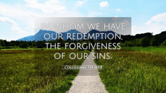 Picture 05 - Colossians 1:14 WEB Desktop Wallpaper - in whom we have our redemption, the forgiveness - Desktop Bible Verse Wallpaper