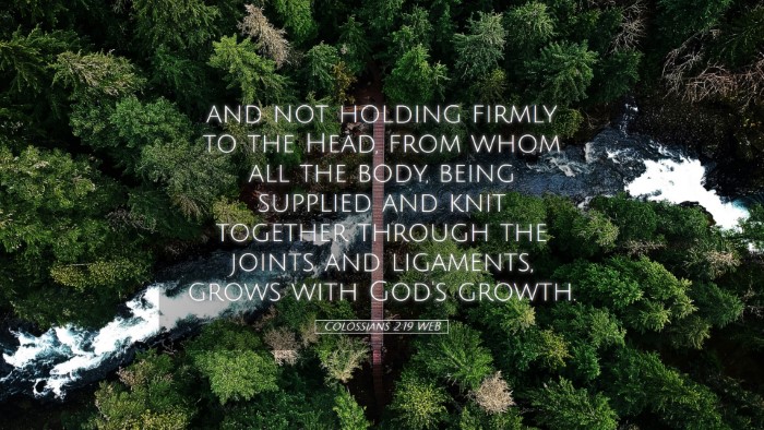 Picture 05 - Colossians 2:19 WEB Desktop Wallpaper - and not holding firmly to the Head, from whom all - Desktop Bible Verse Wallpaper