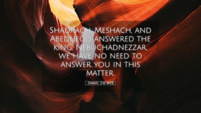 Picture 05 - Daniel 3:16 WEB Desktop Wallpaper - Shadrach, Meshach, and Abednego answered the - Desktop Bible Verse Wallpaper