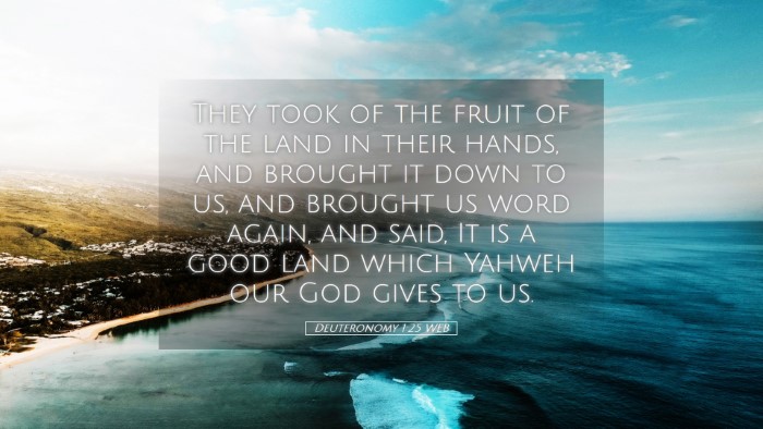 Picture 05 - Deuteronomy 1:25 WEB Desktop Wallpaper - They took of the fruit of the land in their - Desktop Bible Verse Wallpaper