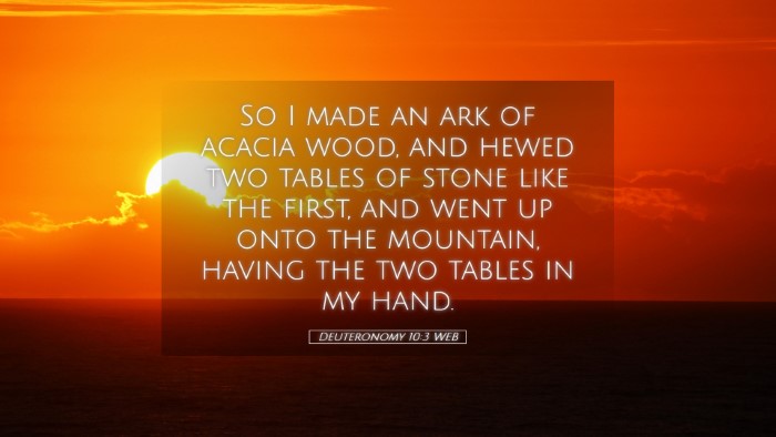 Picture 05 - Deuteronomy 10:3 WEB Desktop Wallpaper - So I made an ark of acacia wood, and hewed two - Desktop Bible Verse Wallpaper