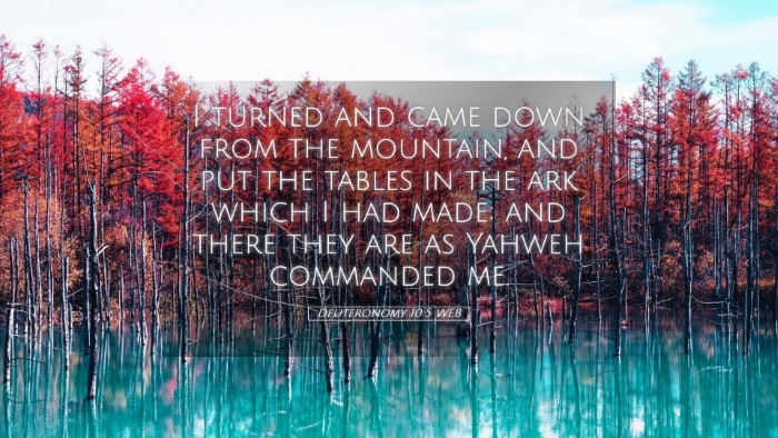 Picture 05 - Deuteronomy 10:5 WEB Desktop Wallpaper - I turned and came down from the mountain, and put - Desktop Bible Verse Wallpaper