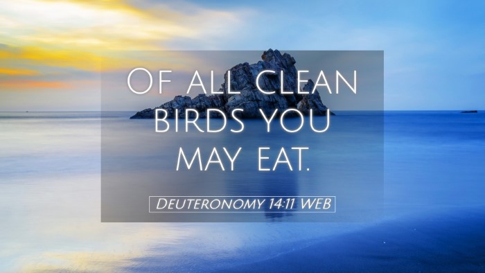 Picture 05 - Deuteronomy 14:11 WEB Desktop Wallpaper - Of all clean birds you may - Desktop Bible Verse Wallpaper
