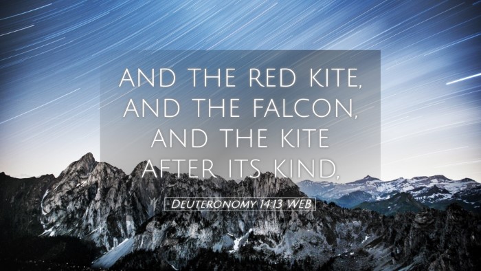 Picture 05 - Deuteronomy 14:13 WEB Desktop Wallpaper - and the red kite, and the falcon, and the kite - Desktop Bible Verse Wallpaper
