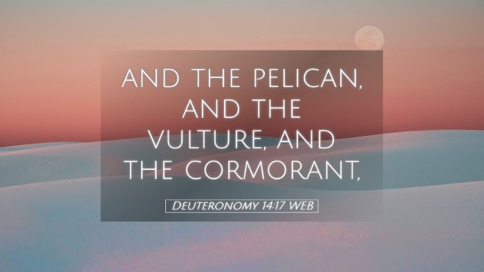 Picture 05 - Deuteronomy 14:17 WEB Desktop Wallpaper - and the pelican, and the vulture, and the - Desktop Bible Verse Wallpaper