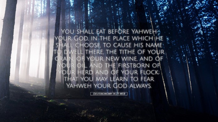 Picture 05 - Deuteronomy 14:23 WEB Desktop Wallpaper - You shall eat before Yahweh your God, in the - Desktop Bible Verse Wallpaper