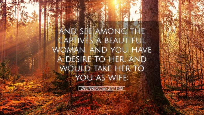 Picture 05 - Deuteronomy 21:11 WEB Desktop Wallpaper - and see among the captives a beautiful woman, and - Desktop Bible Verse Wallpaper