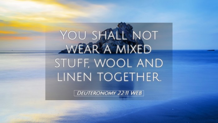Picture 05 - Deuteronomy 22:11 WEB Desktop Wallpaper - You shall not wear a mixed stuff, wool and linen - Desktop Bible Verse Wallpaper