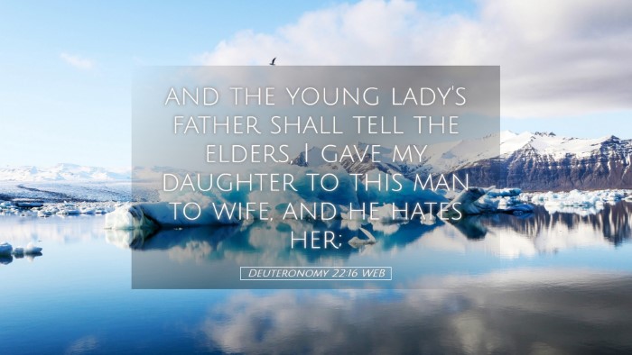 Picture 05 - Deuteronomy 22:16 WEB Desktop Wallpaper - and the young lady's father shall tell the - Desktop Bible Verse Wallpaper