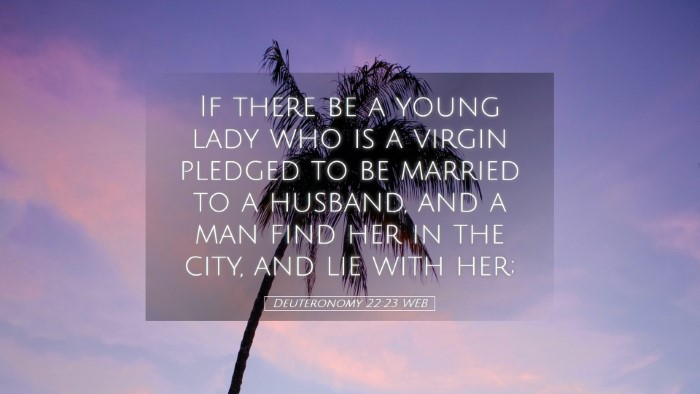Picture 05 - Deuteronomy 22:23 WEB Desktop Wallpaper - If there be a young lady who is a virgin pledged - Desktop Bible Verse Wallpaper