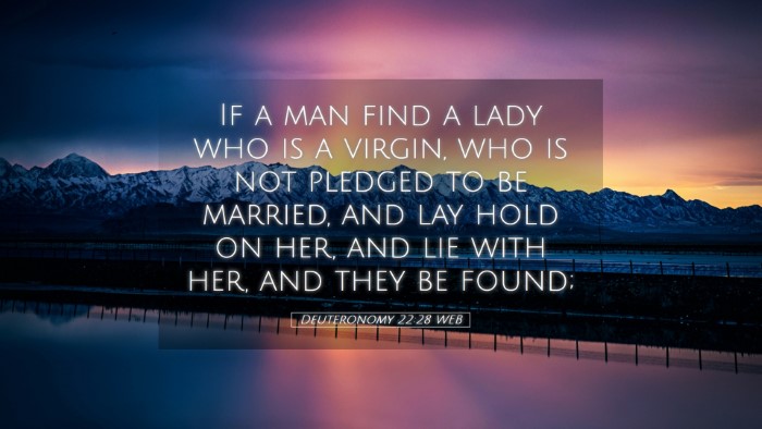 Picture 05 - Deuteronomy 22:28 WEB Desktop Wallpaper - If a man find a lady who is a virgin, who is not - Desktop Bible Verse Wallpaper