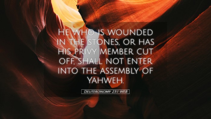 Picture 05 - Deuteronomy 23:1 WEB Desktop Wallpaper - He who is wounded in the stones, or has his privy - Desktop Bible Verse Wallpaper