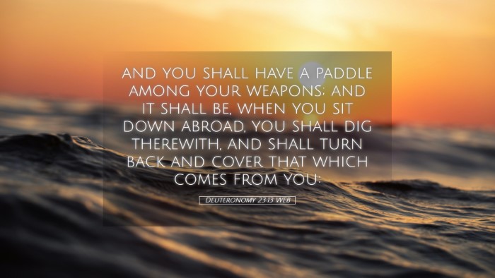 Picture 05 - Deuteronomy 23:13 WEB Desktop Wallpaper - and you shall have a paddle among your weapons; - Desktop Bible Verse Wallpaper