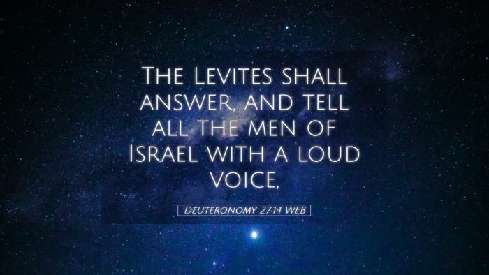 Picture 05 - Deuteronomy 27:14 WEB Desktop Wallpaper - The Levites shall answer, and tell all the men of - Desktop Bible Verse Wallpaper