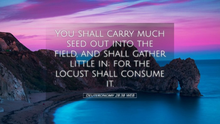 Picture 05 - Deuteronomy 28:38 WEB Desktop Wallpaper - You shall carry much seed out into the field, and - Desktop Bible Verse Wallpaper