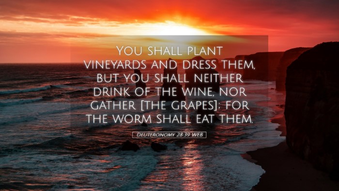 Picture 05 - Deuteronomy 28:39 WEB Desktop Wallpaper - You shall plant vineyards and dress them, but you - Desktop Bible Verse Wallpaper