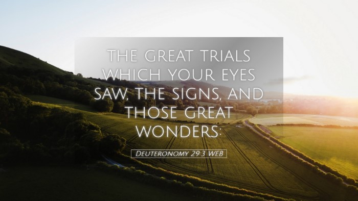 Picture 05 - Deuteronomy 29:3 WEB Desktop Wallpaper - the great trials which your eyes saw, the signs, - Desktop Bible Verse Wallpaper