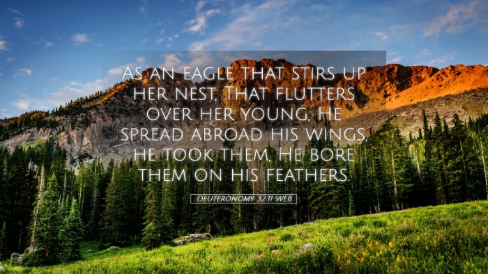 Picture 05 - Deuteronomy 32:11 WEB Desktop Wallpaper - As an eagle that stirs up her nest, That flutters - Desktop Bible Verse Wallpaper