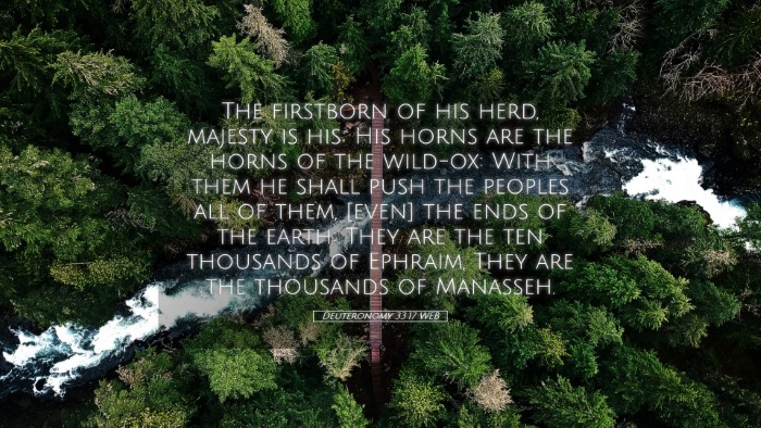 Picture 05 - Deuteronomy 33:17 WEB Desktop Wallpaper - The firstborn of his herd, majesty is his; His - Desktop Bible Verse Wallpaper