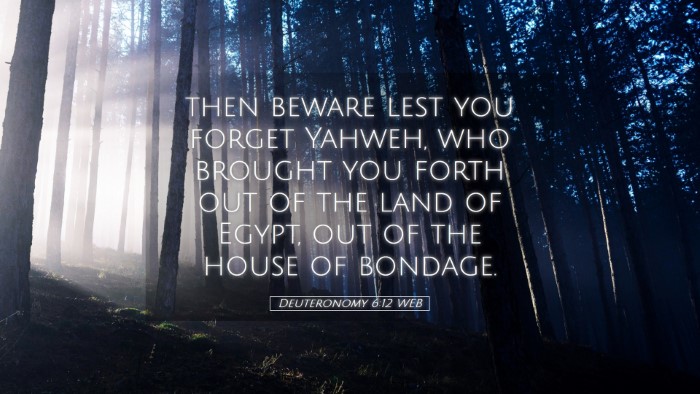 Picture 05 - Deuteronomy 6:12 WEB Desktop Wallpaper - then beware lest you forget Yahweh, who brought - Desktop Bible Verse Wallpaper