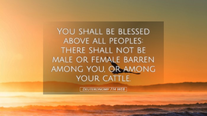 Picture 05 - Deuteronomy 7:14 WEB Desktop Wallpaper - You shall be blessed above all peoples: there - Desktop Bible Verse Wallpaper